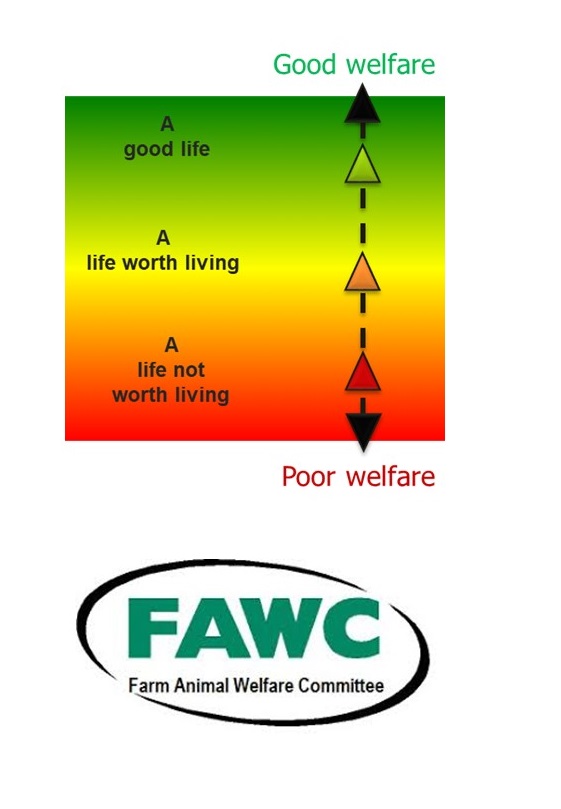 FAWC Good life image